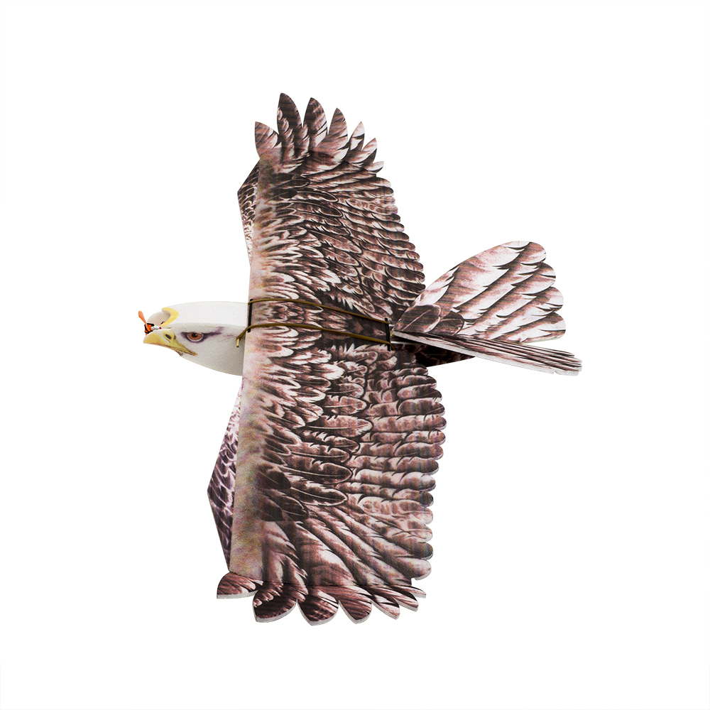 Rc Hobby Online - DW Hobby Eagle II EPP avion