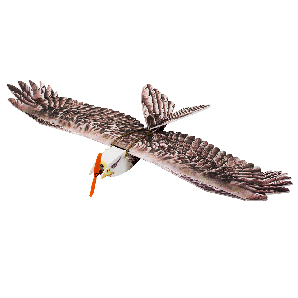 DW Hobby Eagle II EPP avion RC - Rc Hobby Online avis et prix