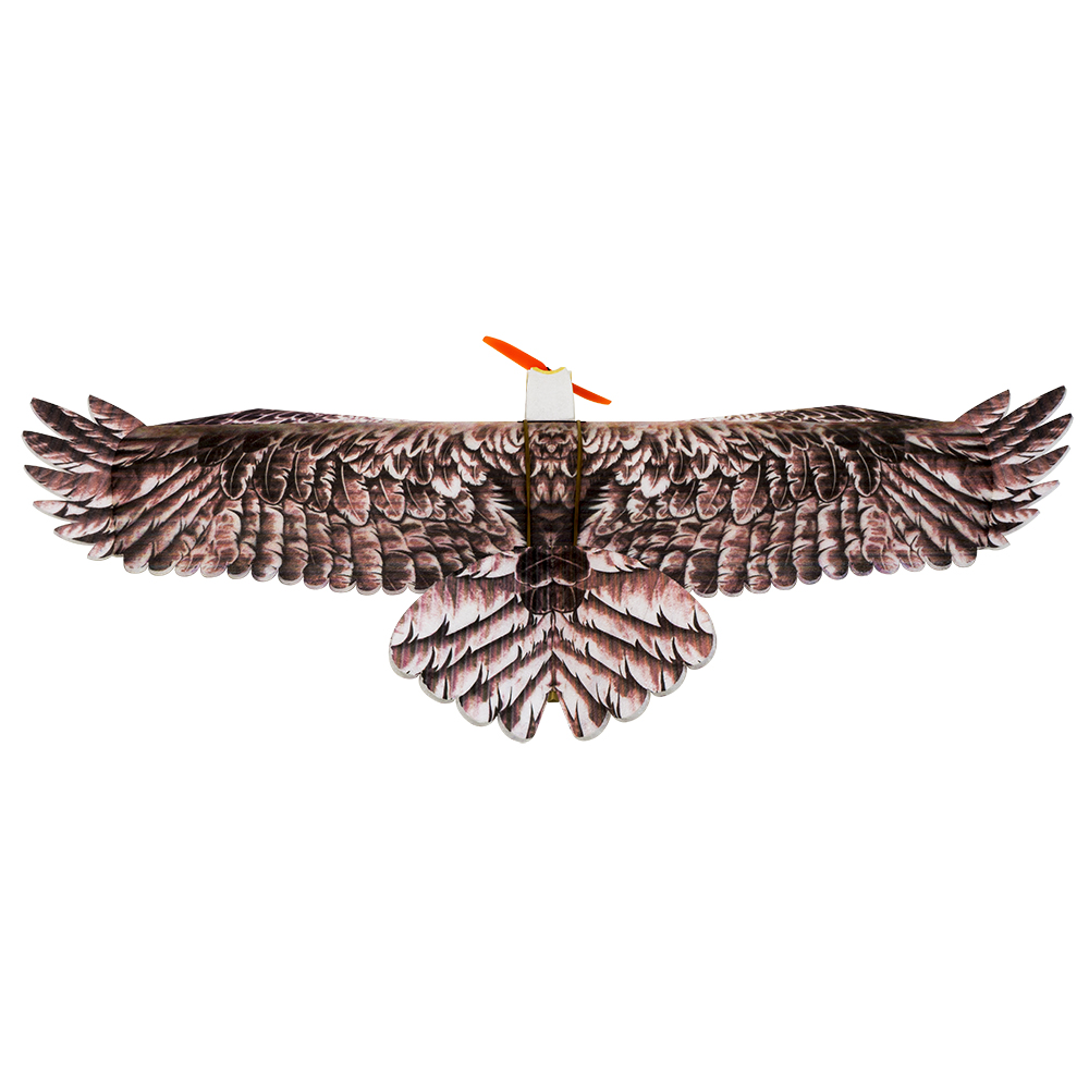 DW Hobby Eagle II EPP avion RC - Rc Hobby Online avis et prix